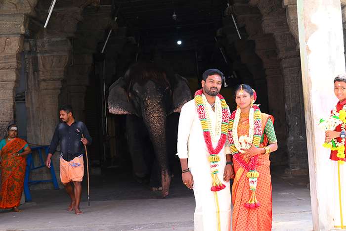 Candid photographer in Sankarankovil, Tenkasi